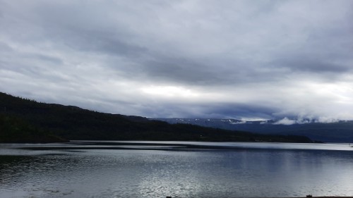20220725_124626.jpg
