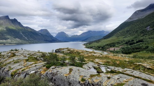 20220725_132215.jpg
