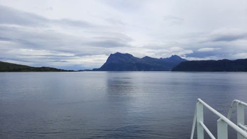 20220725_145150.jpg