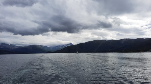 20220725_150008.jpg