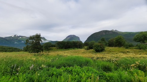 20220726_093257.jpg