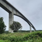 20220726_105206