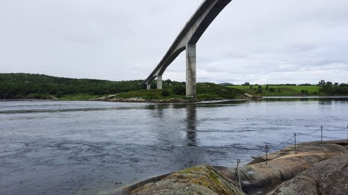 20220726_105452.jpg