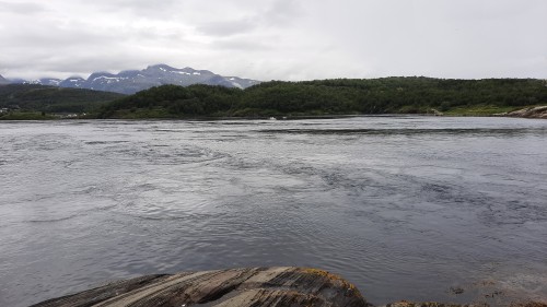 20220726_105555.jpg