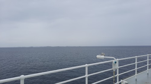 20220726_152357.jpg