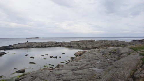 20220726_191300.jpg