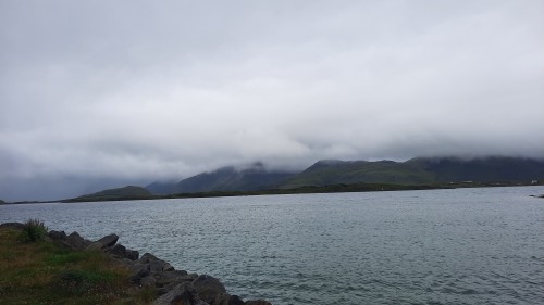 20220727_104505.jpg