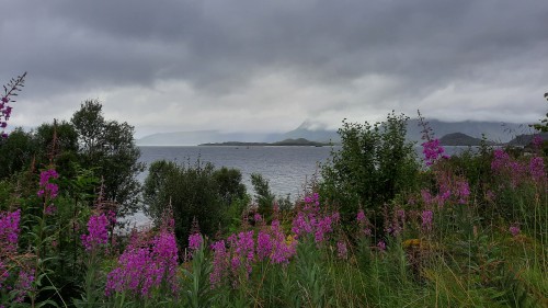 20220727_154039.jpg