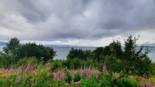 20220727_154100.jpg