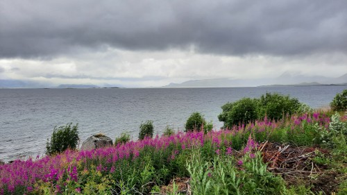 20220727_154410.jpg