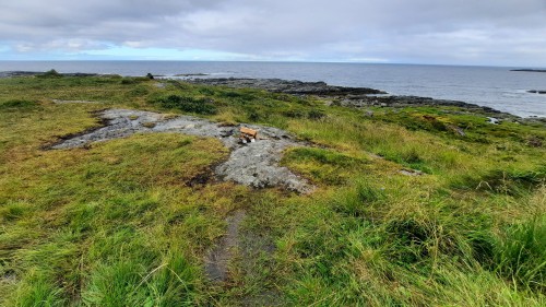 20220728_102044.jpg