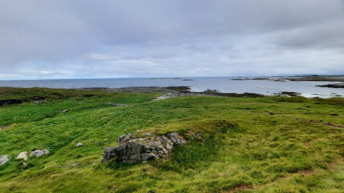 20220728_102927.jpg