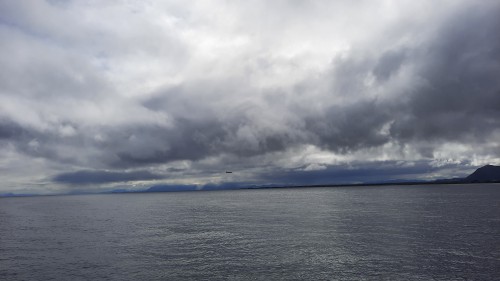 20220728_130854.jpg
