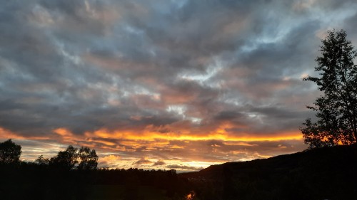 20220728_225237.jpg