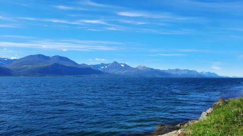 20220729_163338.jpg