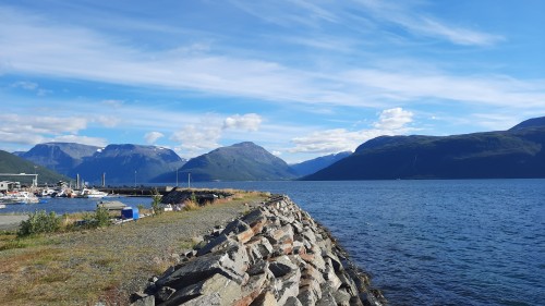 20220729_171452.jpg