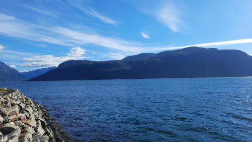 20220729_171455.jpg