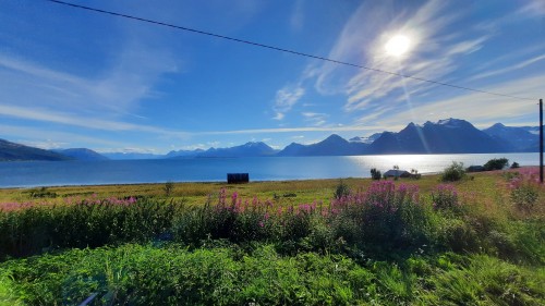 20220729_173331.jpg