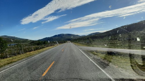 20220730_072224.jpg
