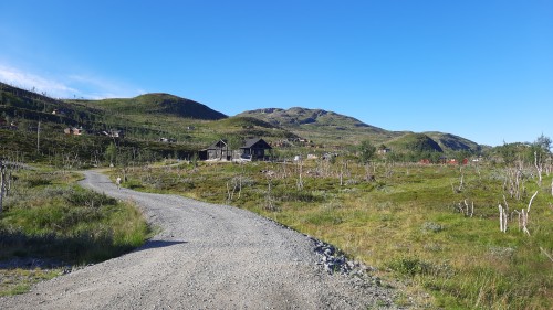 20220730_072410.jpg
