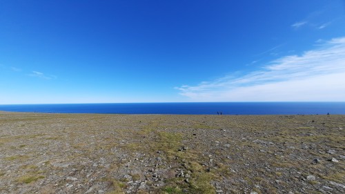 20220730_100707.jpg