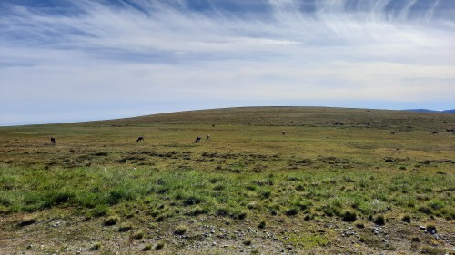 20220730_104026.jpg