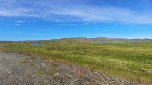 20220730_112630.jpg