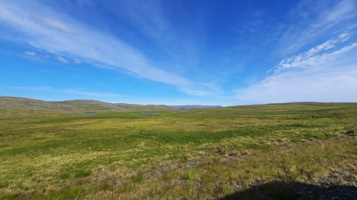20220730_112655.jpg