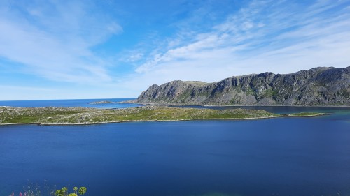 20220730_114117.jpg