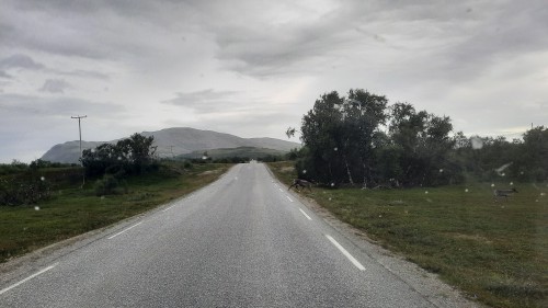 20220730_174523.jpg